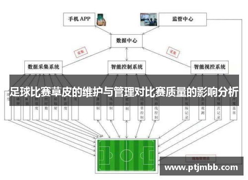 足球比赛草皮的维护与管理对比赛质量的影响分析